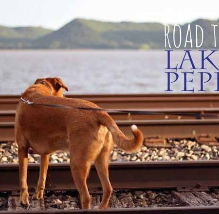 Road Trip - Lake Pepin | Honey and Birch