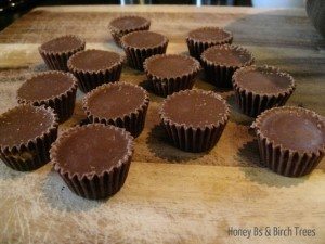 Peanut Butter Cup Fudge Brownies | Honey and Birch