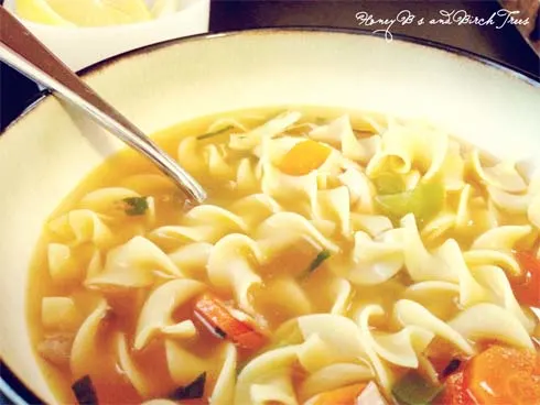 Spicy Rotisserie Chicken Noodle Soup | Honey Bs and Birch Trees