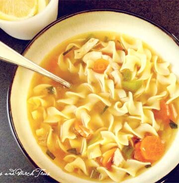 Spicy Rotisserie Chicken Noodle Soup