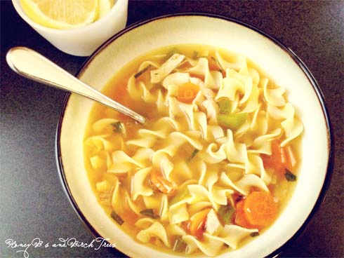 Spicy Rotisserie Chicken Noodle Soup | Honey Bs and Birch Trees