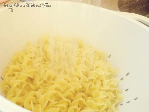 Spicy Rotisserie Chicken Noodle Soup | Honey Bs and Birch Trees