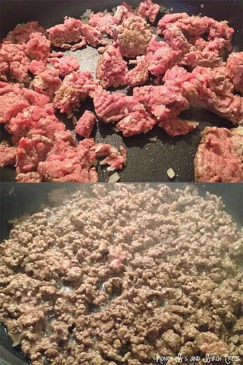 Corn and Black Bean Sloppy Joes