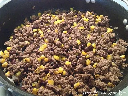 Corn and Black Bean Sloppy Joes