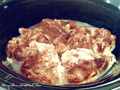 Slow Cooker Jalapeno Chicken | Honey Bs and Birch Trees