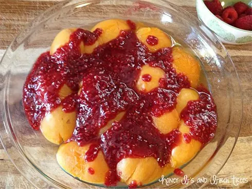 Vanilla and Honey Poached Apricots with Raspberry Syrup