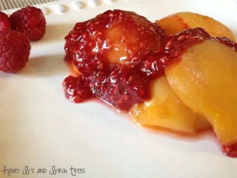 Vanilla and Honey Poached Apricots with Raspberry Syrup