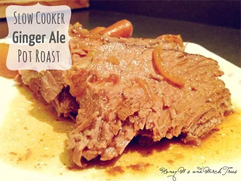 An easy slow cooker ginger ale pot roast recipe - it doesn't call for many ingredients but is packed full of big flavor! | www.honeyandbirch.com