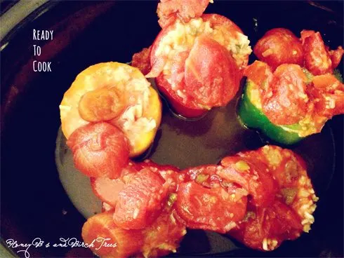 Slow Cooked Stuffed Fiesta Peppers | Honey Bs and Birch 