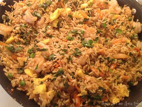 Shrimp Fried Rice with Sweet Soy Sauce