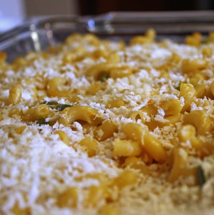 Baked Jalapeno Macaroni and Cheese | www.honeyandbirch.com