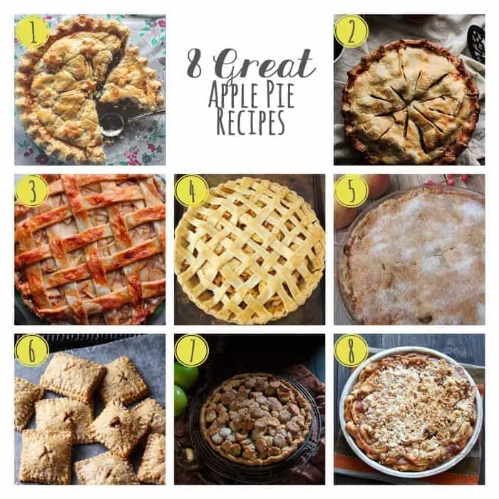 8 Great Apple Pie Recipes | www.honeyandbirch.com
