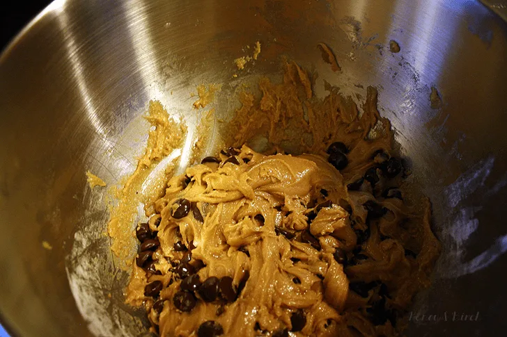 dark-chocolate-cDark Chocolate Chip Cookieship-cookies-08