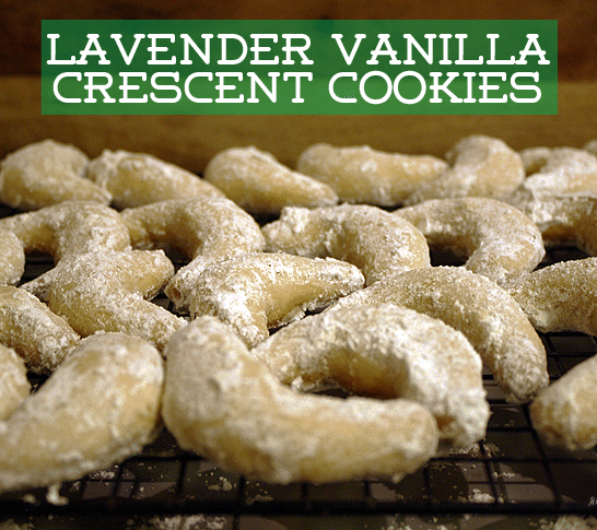 Lavender Vanilla Crescent Cookies