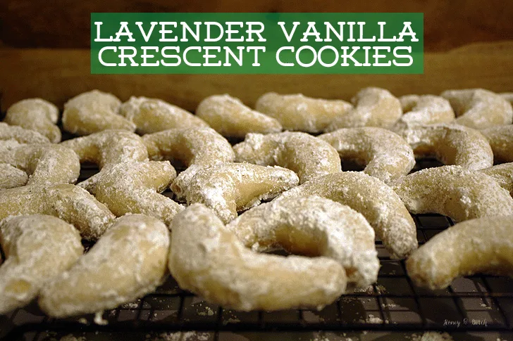 Lavender Vanilla Crescent Cookies
