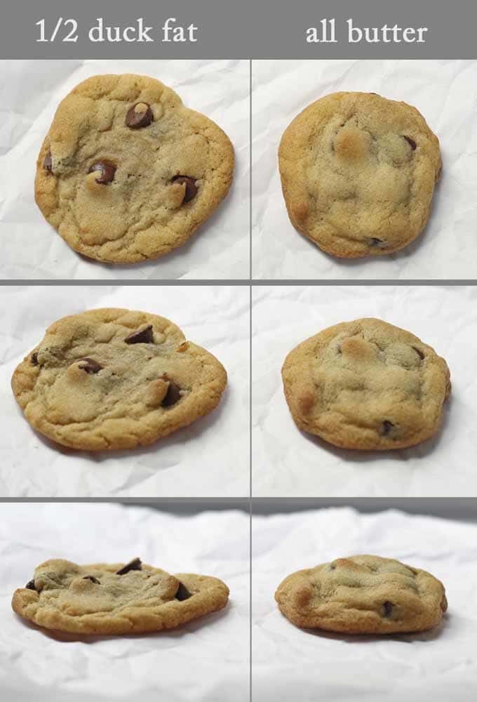 These duck fat chocolate chip cookies are a great alternative to the traditional cookie. Only 10 minutes to bake! srcset=