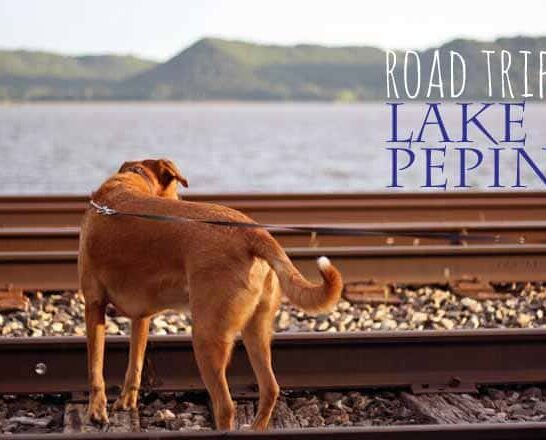 Lake Pepin Travel Guide