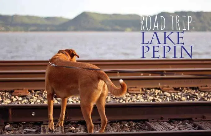 Road Trip - Lake Pepin | Honey and Birch