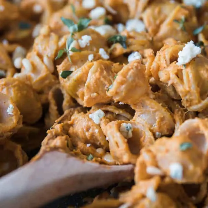 pumpkin pasta with gorgonzola cheese