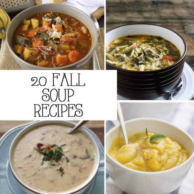 If you're looking for a warm up this autumn, try one of these fall soup recipes! | Honey and Birch