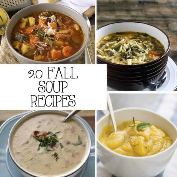 If you're looking for a warm up this autumn, try one of these fall soup recipes! | Honey and Birch