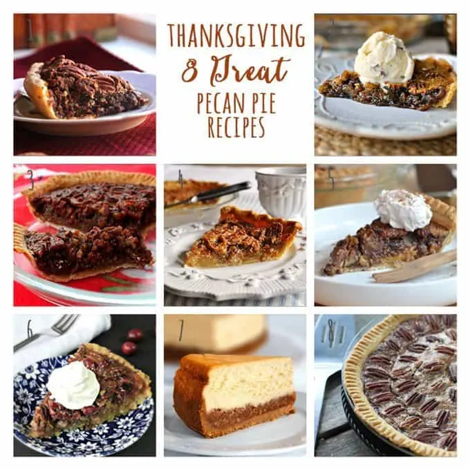 8 Great: Thanksgiving Dinner Edition | 8 Great Pecan Pie Recipes | www.honeyandbirch.com