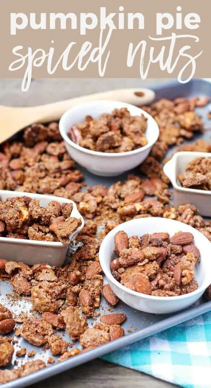 pumpkin pie spiced nuts pin