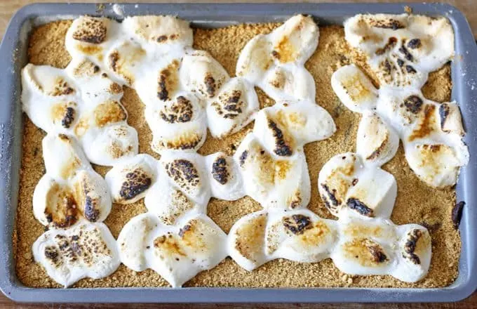 Fudgy s'mores brownies will help you keep the bonfire burning all winter long! #brownie #smores #baking #dessert
