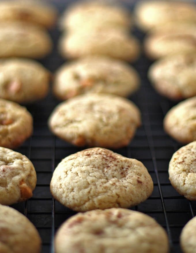 Butterscotch Spice Cookies are perfect for cookie swaps and holiday gatherings! The ginger and cinnamon are perfect with the butterscotch chips. | www.honeyandbirch.com | #christmascookies