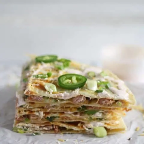 Great way to use up leftover Christmas ham! Ham, Jalapeno and Green Onion Quesadilla | www.honeyandbirch.com | #leftovers