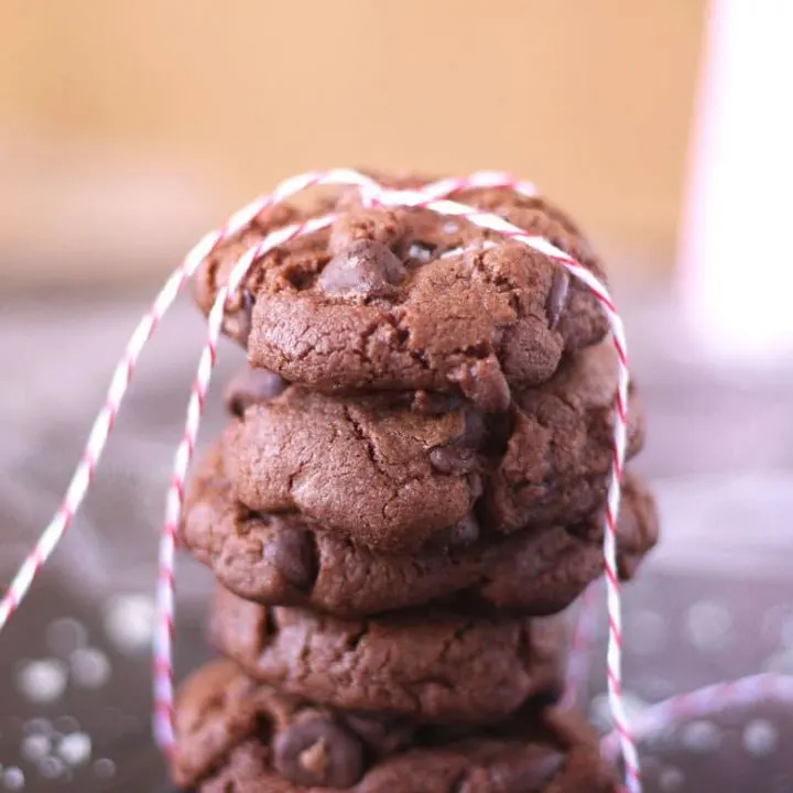 These sea salt double chocolate cookies are a crowd favorite. You can't say no to extra chocolate with sea salt in cookie form! | honeyandbirch.com