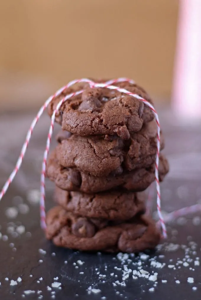 Sea Salt Double Chocolate Cookies | www.honeyandbirch.com | #fbcookieswap