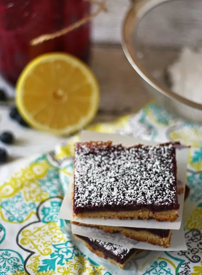 Blueberry Lemon Bars | www.honeyandbirch.com #dessert