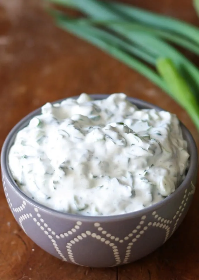 Easy Green Onion Dip - substitute spinach dip for this yummy appetizer! | www.honeyandbirch.com #dip