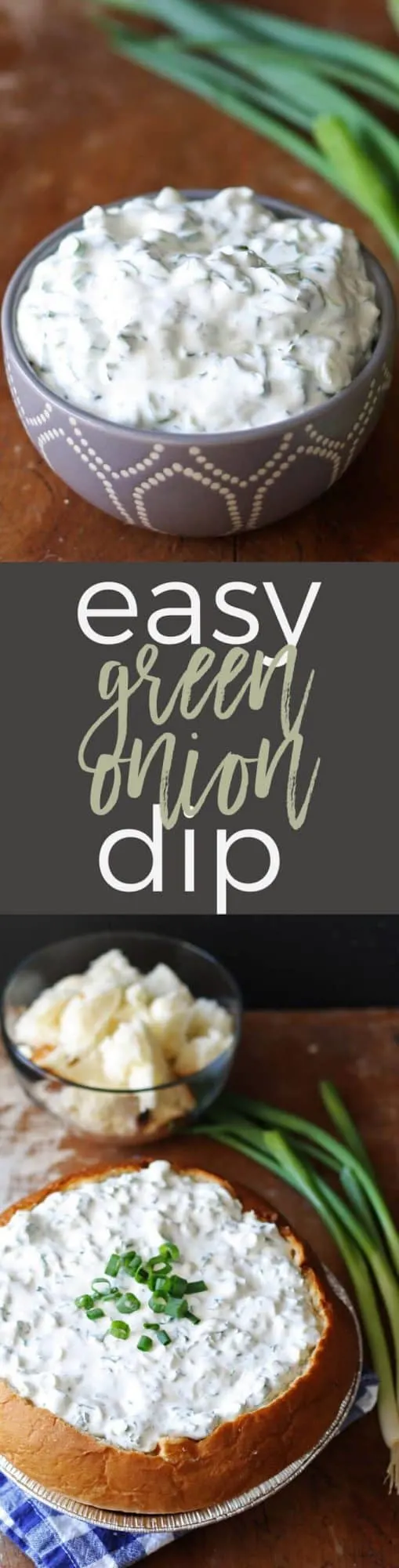 Easy green onion dip pin