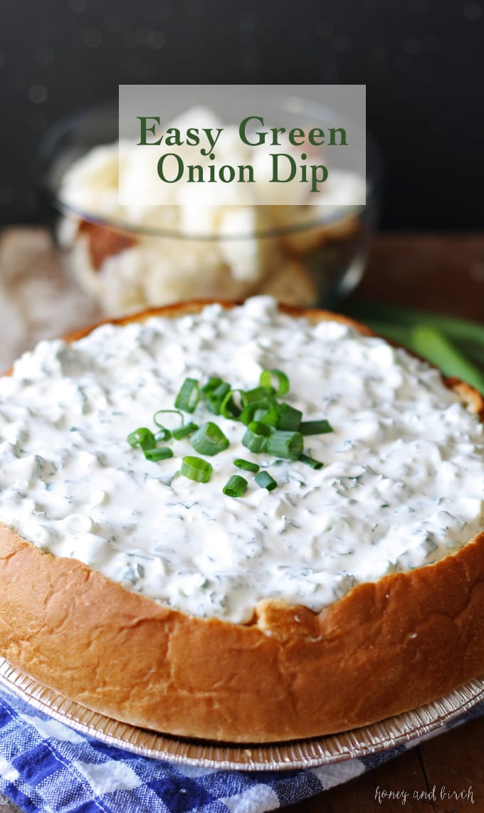 Easy Green Onion Dip - forget about spinach dip and make this yummy appetizer instead! | www.honeyandbirch.com #dip