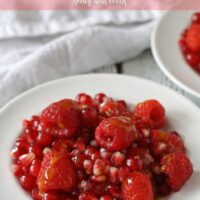 Red Fruit Salad | Sweet and tart, full of raspberries, pomegranate and red currant! www.honeyandbirch.com #fruit #salad