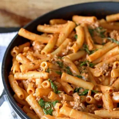 Cheesy Tomato Pasta Skillet | www.honeyandbirch.com | #dinner #sundaysupper