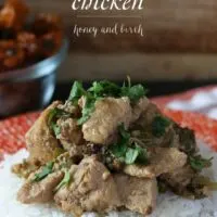 Fire Chicken Recipe - the perfect blend of sichuan peppercorns and dried habanero peppers! | www.honeyandbirch.com #spicy #dinner
