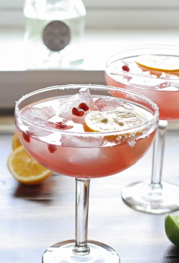 Meyer Lemon and Pomegranate Margarita #MargaritaDay | www.honeyandbirch.com @Casa_Noble