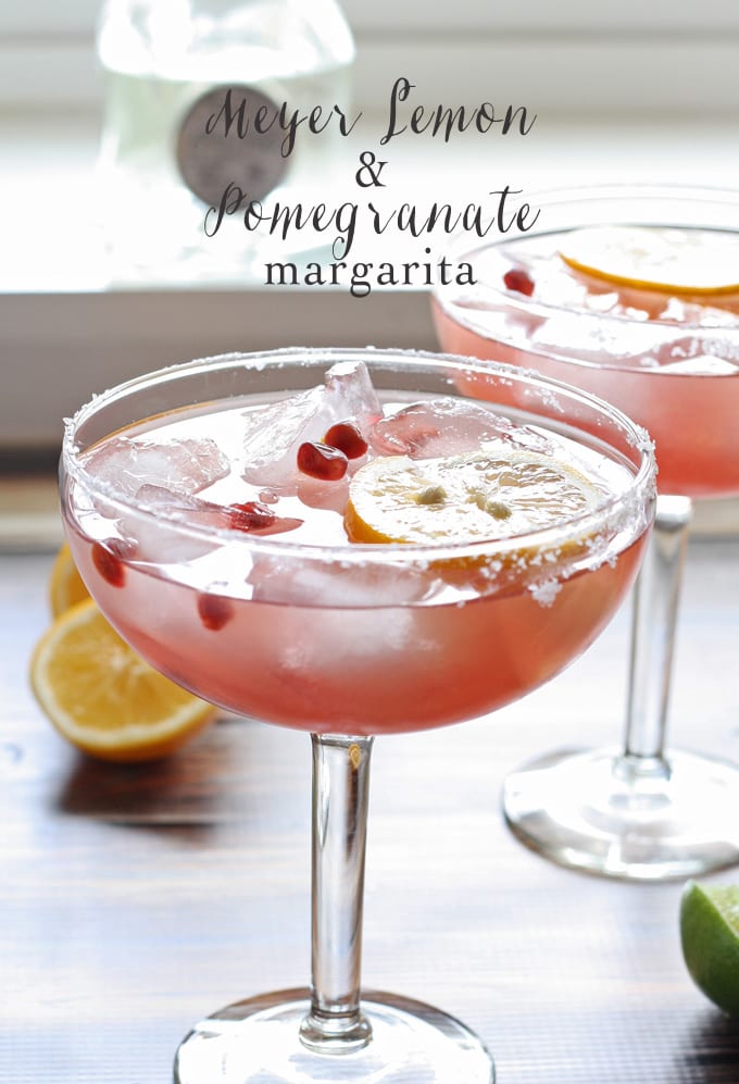 Meyer Lemon and Pomegranate Margarita #MargaritaDay | www.honeyandbirch.com @Casa_Noble