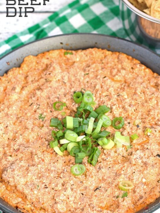 Ricotta Beef Dip Appetizer Honey and Birch