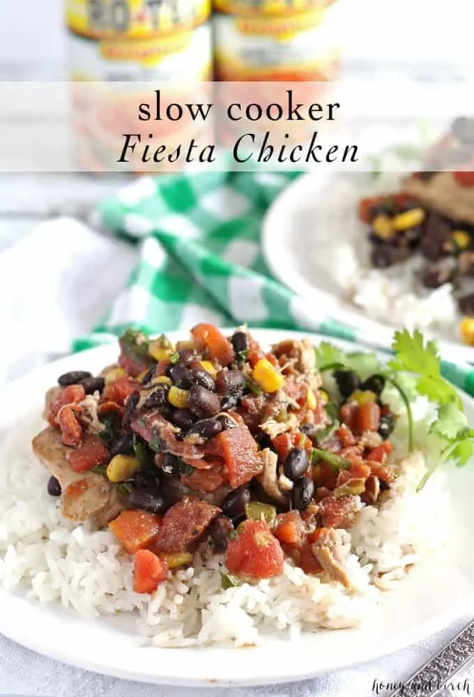 Slow Cooker Fiesta Chicken is crowd friendly and perfect for parties! Or, throw it in the crockpot in the morning and on the family dinner table at night. | honeyandbirch.com
