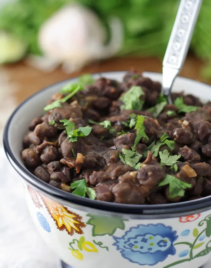 Looking for a new side dish? Try these easy, seasoned black beans! Perfect with rice! | honeyandbirch.com