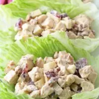 These grilled chicken salad lettuce wraps are a healthy addition to your lunch. Nuts, grapes, apples and chicken are joined by a honey balsamic vinaigrette. | honeyandbirch.com