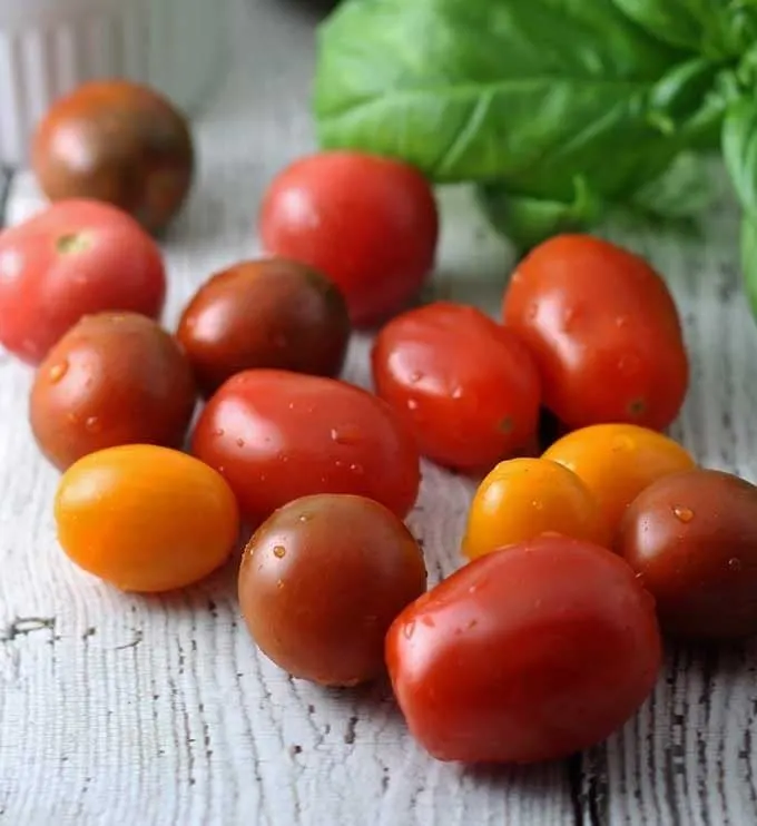 Caprese Tortellini Skewers are a fun appetizer on a stick! Perfect for parties and barbecues. | honeyandbirch.com