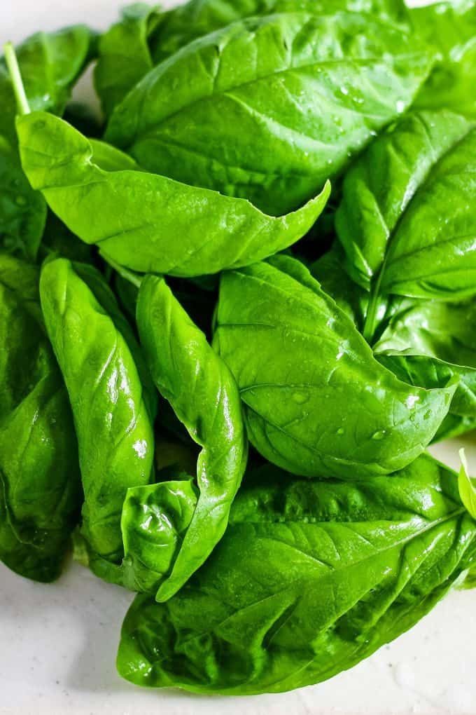 fresh basil leaves