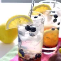 Blueberry Lemon Smash Rum Cocktail | honeyandbirch.com