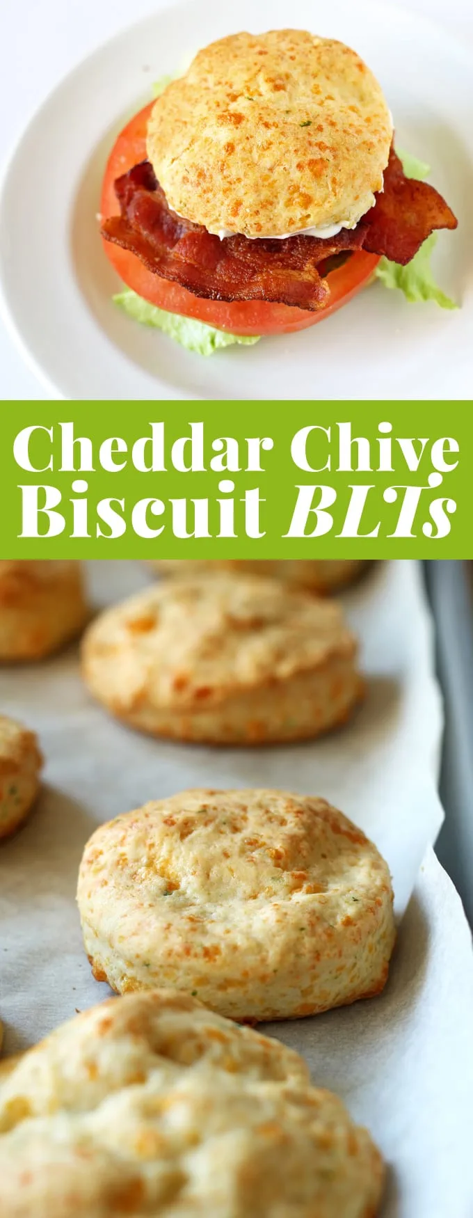 This cheddar chive biscuit BLT sandwich is going to be your new favorite lunch. #BetterBiscuits #ad | honeyandbirch.com