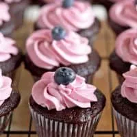 Chocolate Cupcakes with Blueberry Buttercream Frosting
